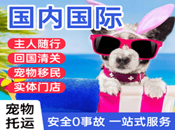 哈尔滨机场货运国际宠物托运 【国